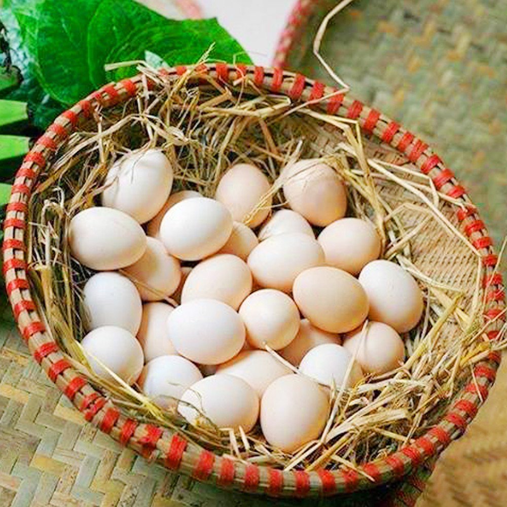 Trứng Gà Ta (10 trứng / 1 set)